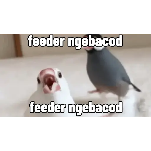 Mabarlossgif (vk3x5b86zj)