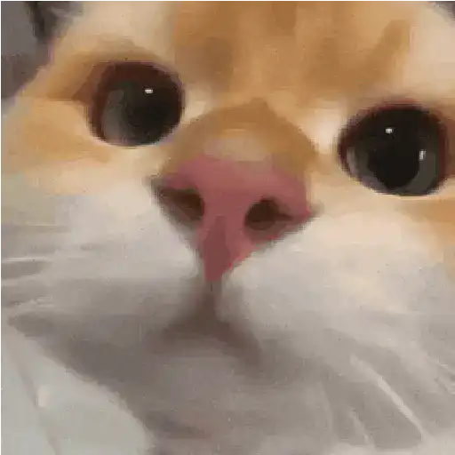 حيوانات تيك توك 😹 (fjgnqhrk47)