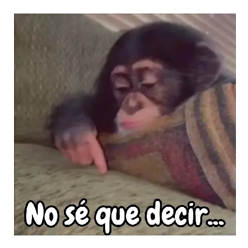 No sé que decir... (gxywvd6hfc)