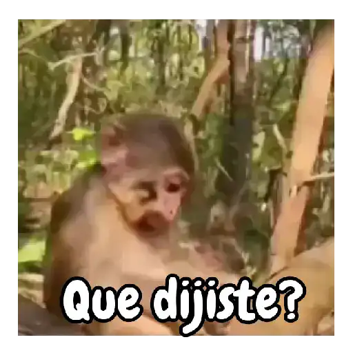 Que dijiste? (mwknzsc7tv)