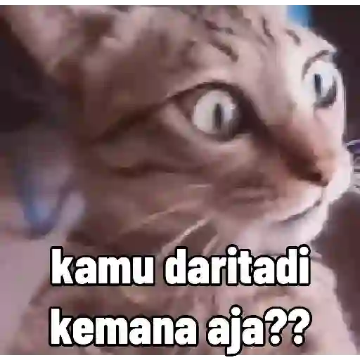 kamu daritadi kemana aja?? (xskz62whng)