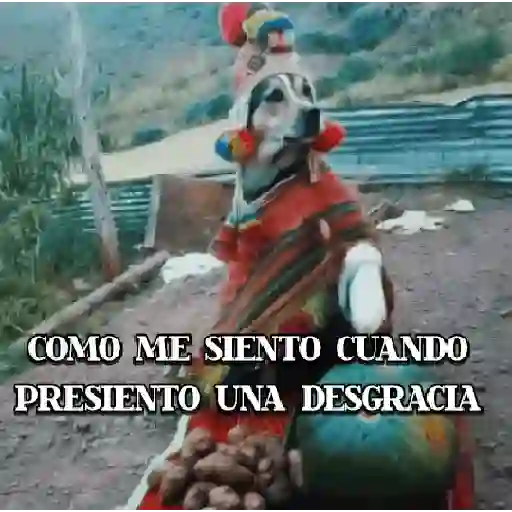 COMO ME SIENTO CUANDO PRESIENTO UNA DESGRACIA (knv4qz8xcd)