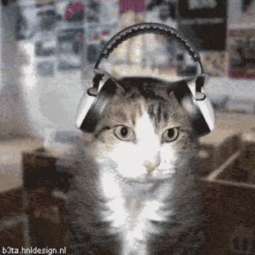 قطط مضحكة 😹 (6ydtwf7bsv)