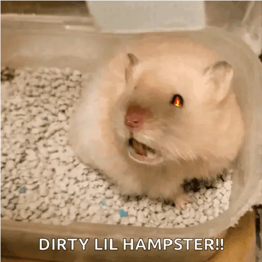 الهامستر 🐁🩷🐀 (cyfq2mdgsj)