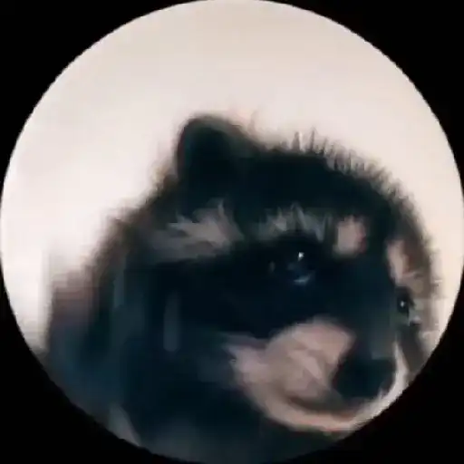 🐱 Fisheye-lens pets (5zpc89b746)