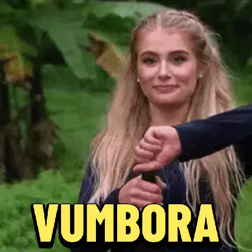 MEMES PRO FIM DE SEMANA (37vwq52bcd)