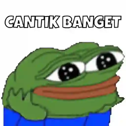Pepe the Frog (b5c9xhw8j3)