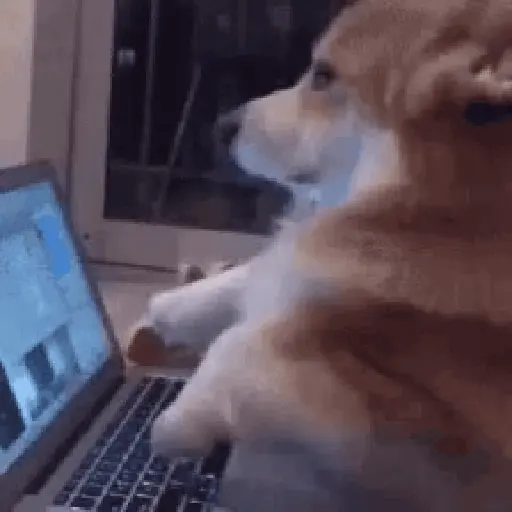 🐶 Perritos Mov. 2 🐾 (nksg6wm83p)