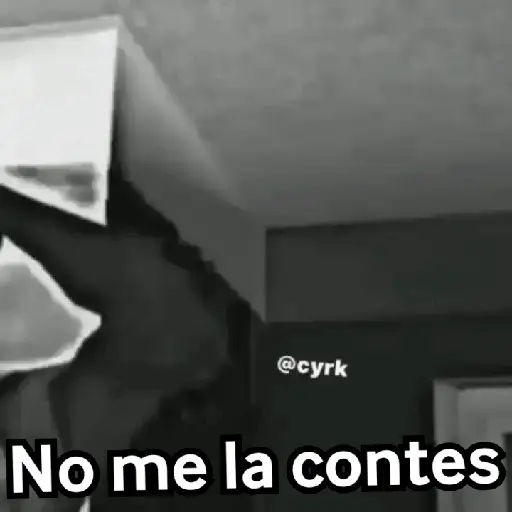 😈 Randoms con frases 🤨😂 (wy75fd4m6k)