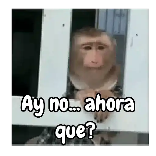 Ay no... ahora que? (8gx9sh7dyj)
