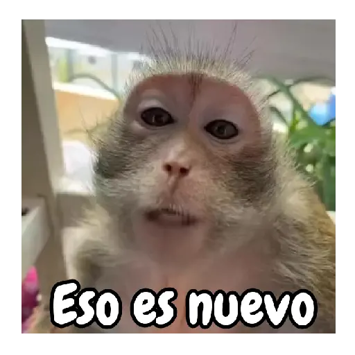 Eso es nuevo (hzdmn4tjcw)