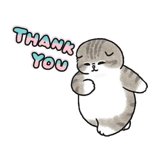 Meme Kucing Bucin Couple Cat (9nhtjbqx38)