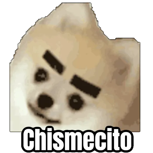 Chismecito (52bwqmznst)