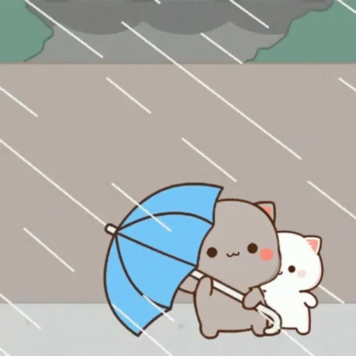 Love peach Mochi cat love  (ykdfsbtzpg)