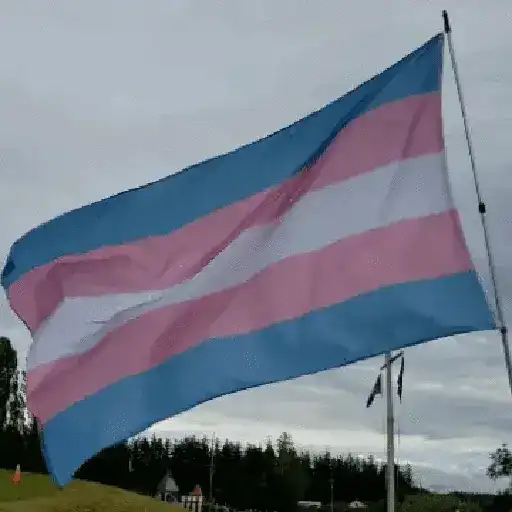 🧿LGBTQ🏳️‍🌈❤️ (tgvrdn532p)