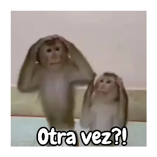 Otra vez?! (yxn8zcm43k)