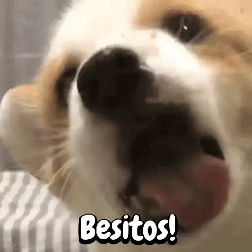 Besitos! (rb5w7j4khs)