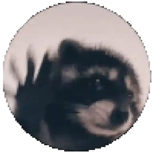 🐱 Fisheye-lens pets (fmxr6py35b)