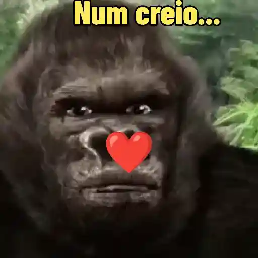 "Macaquin" boladão kkk (cwnjy76dr9)