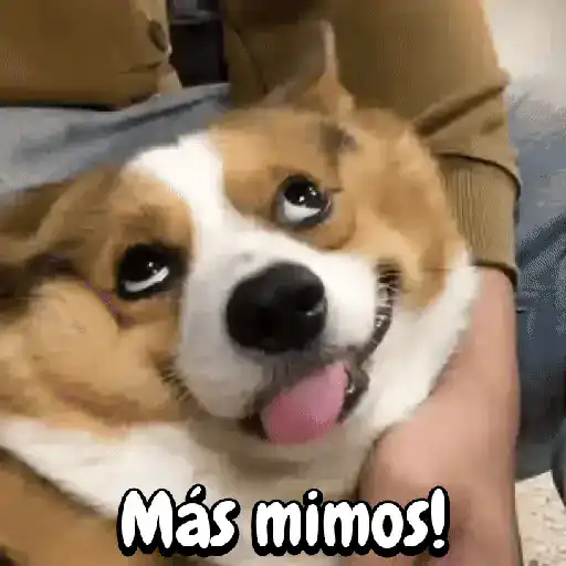 Más mimos! (3kpjg2rs79)