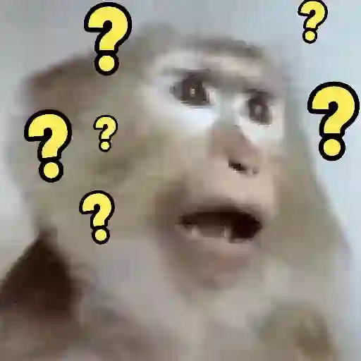 "Macaquin" boladão kkk (r3856gdfhp)