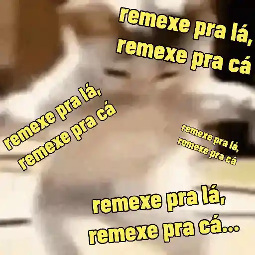 Dança: dança gatinho, dança.. (rsg42jxcyz)