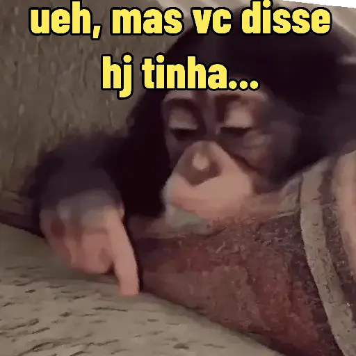 "Macaquin" boladão kkk (9p2nxscgvj)