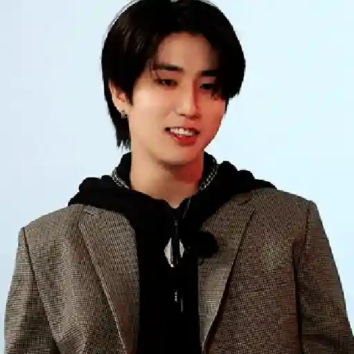 HAN JISUNG 🦋 STRAY KIDS (swg4rxyz3t)