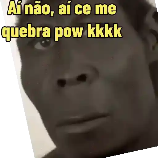 "Macaquin" boladão kkk (9mqd6n7svp)