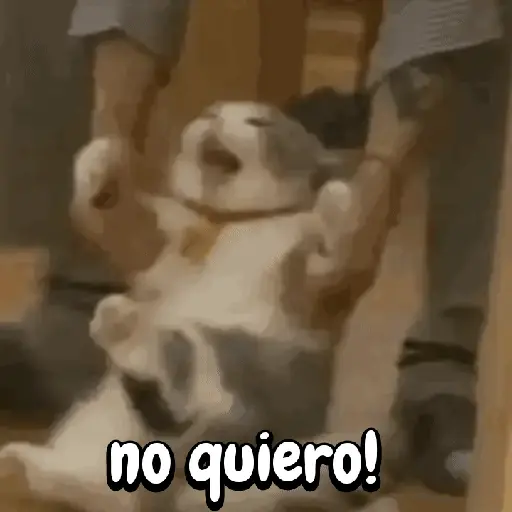 no quiero! (3xj7w25dcm)