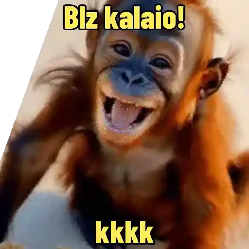 "Macaquin" boladão kkk (69jxgbwf8q)