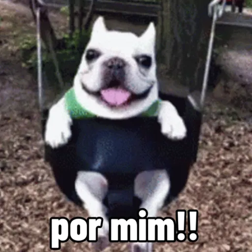 Tô só banha (735wmsgqy8)