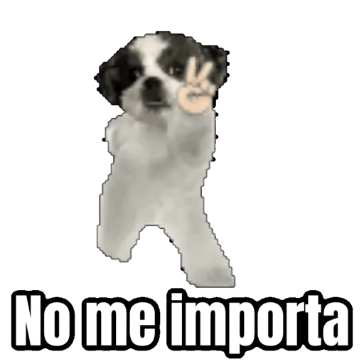 No me importa (g6sxpwkb57)
