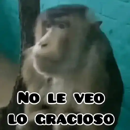 🦧Monkeys🦍Monos🐒Changos (c5m72fbdh4)