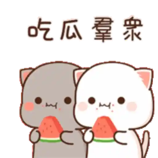 Love peach Mochi cat love  (nh7kgmzs3v)