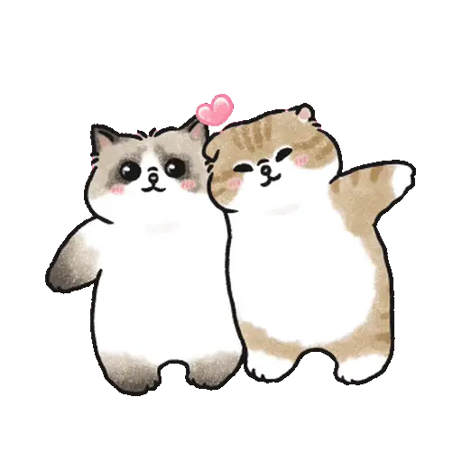 Meme Kucing Bucin Couple Cat (25847swg6f)
