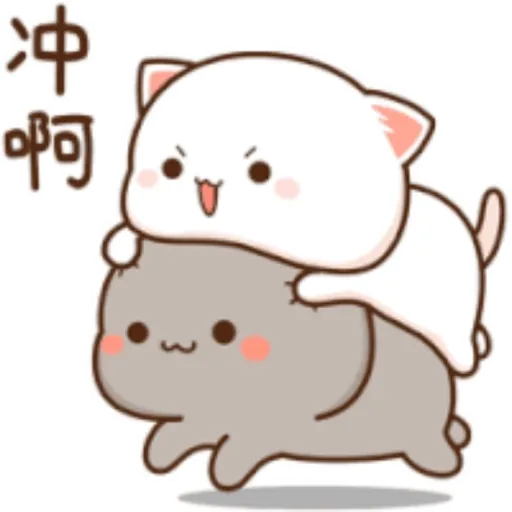 Love peach Mochi cat love  (jcxvzqs2p6)