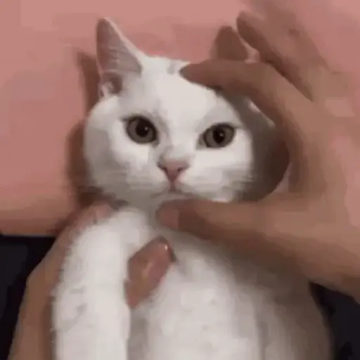 الغضب والكراهية (c9rxpbnykd)