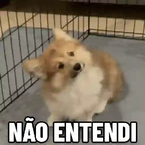 MEMES FOFOS 🥰 (8y2sqdm95k)