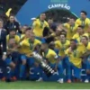 GO BRAZIL 🇧🇷 (bsvd7pjnt9)