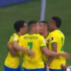 GO BRAZIL 🇧🇷 (nz38cbqmxy)