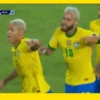 GO BRAZIL 🇧🇷 (njpfqd68hw)