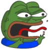 The Pepe Frog (z9bwkr4dpq)