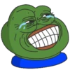 The Pepe Frog (5ftvspgyk6)