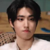 HAN JISUNG 🦋 STRAY KIDS (cpxnzkw8d7)