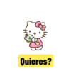Hello Kitty memes (94yd2bkht3)