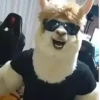 Tiktok Tendencia🫪🎵  (x46shnkzdv)