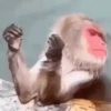 ميمات مضحكة  (dk7sq9vmyp)