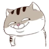 Cute Cat Bucin GIF ♥️ (rfq8dbpzck)