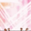 صور متحركة للاحتفال 3 🎉 رسومات (kvw2d7853b)